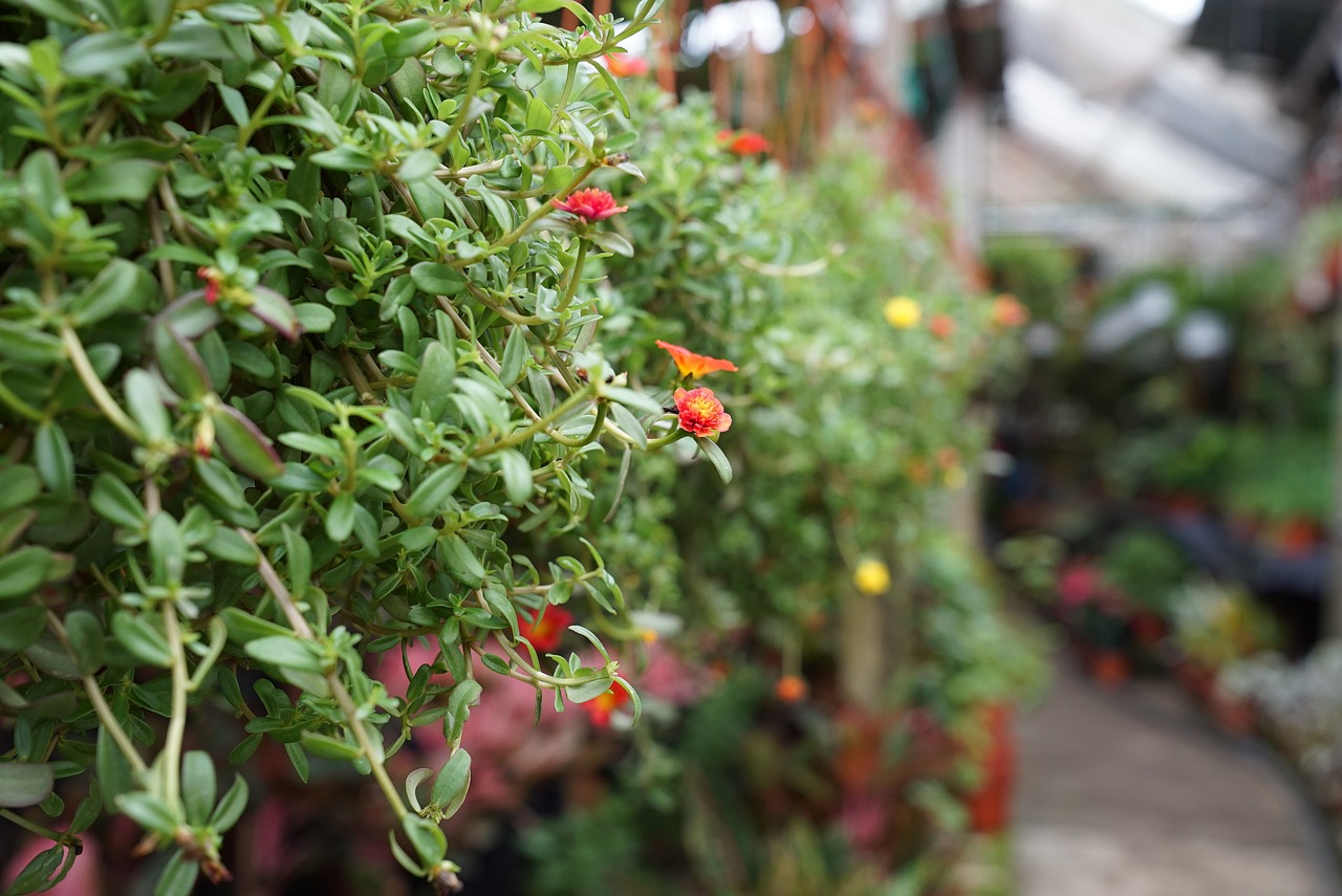 Neues Gartencenter Kremer in Siegen erÃ¶ffnet